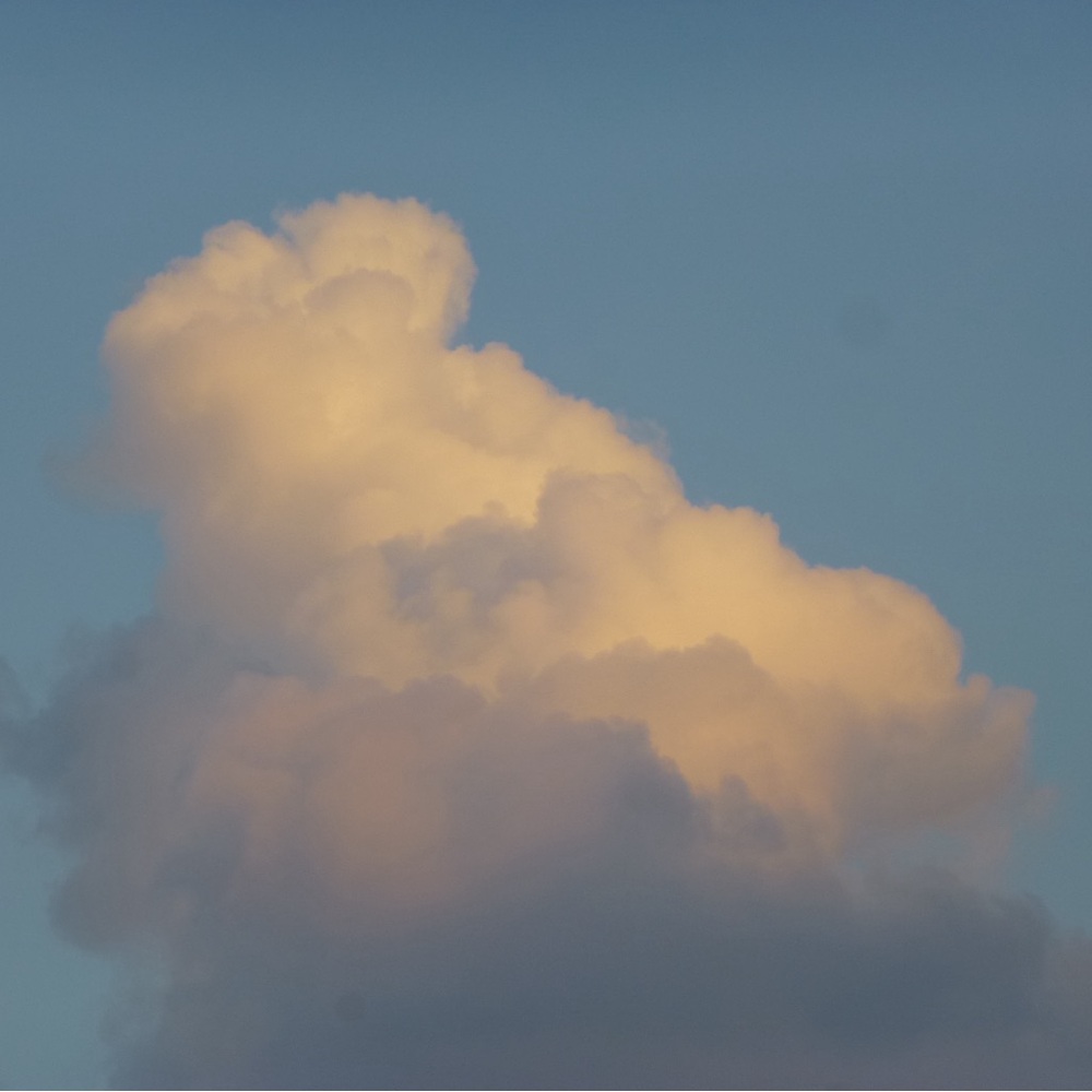 Meet your Posher, Hana